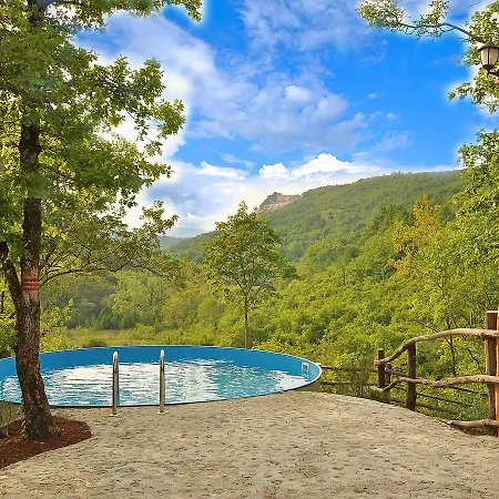 Holiday Kotli.1 *